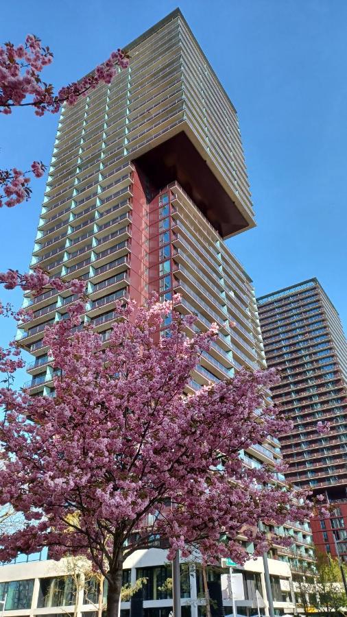 Premium Apartment, Family Friendly Apartament *